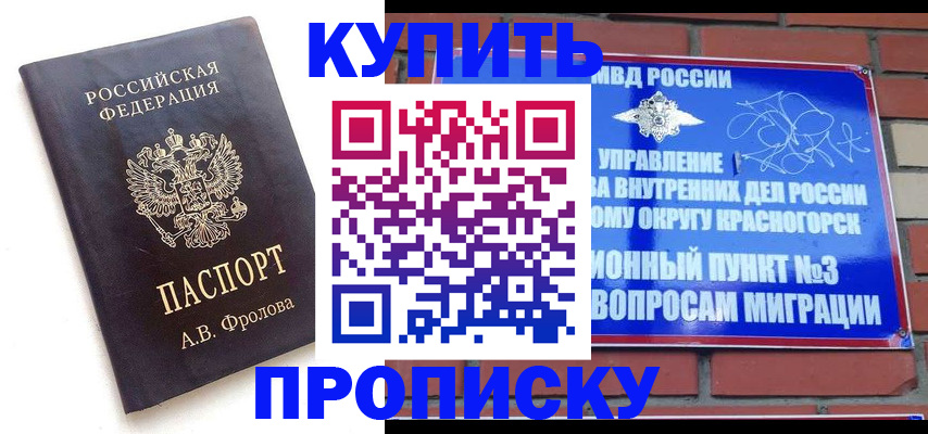 прописка поиск в Невеле